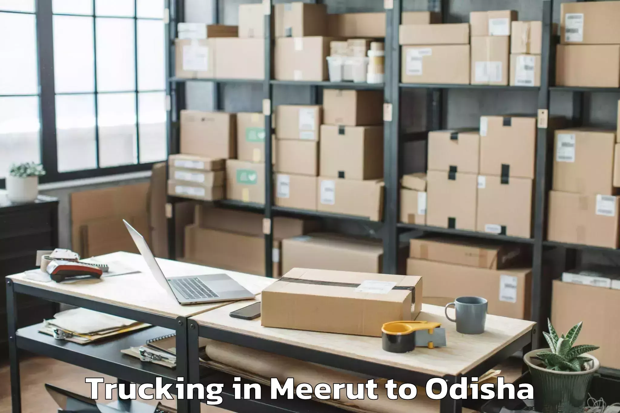 Affordable Meerut to Puruna Katak Trucking